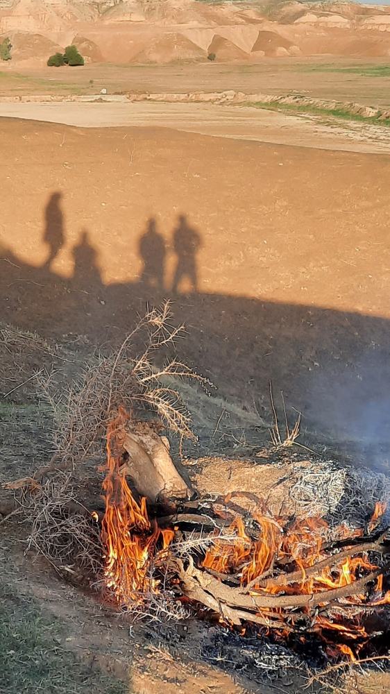 Photograph by limoei Narges