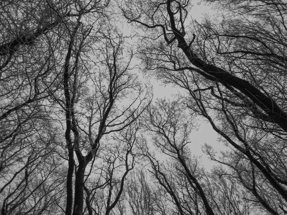 Photograph by Всеволод Маслов