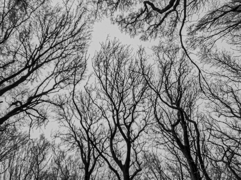 Photograph by Всеволод Маслов