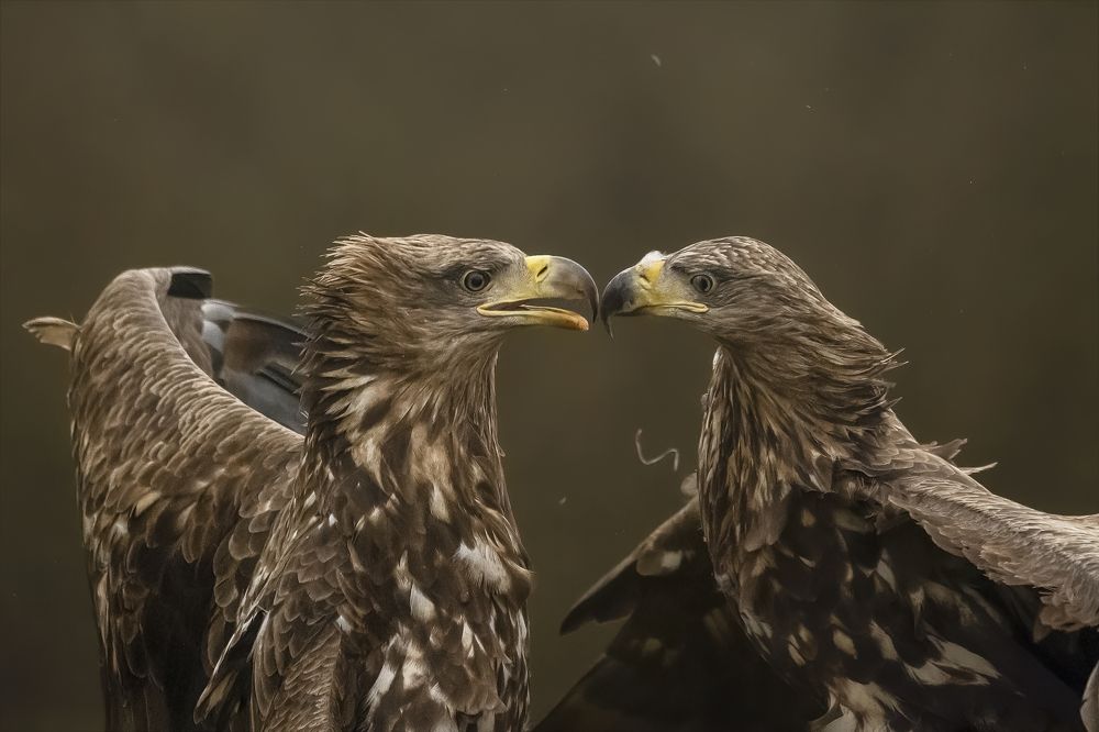 Photograph by Ernestas Balcikonis