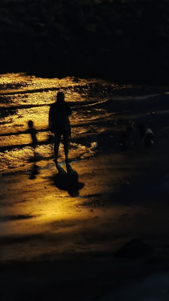 Photograph by Farid Ashtin