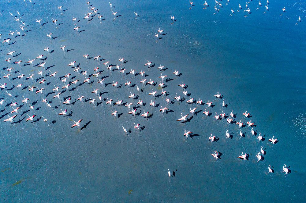 Фотография автора Amin Malekzadeh