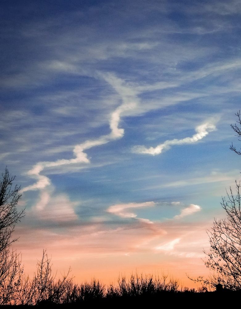 Photograph by Larisa