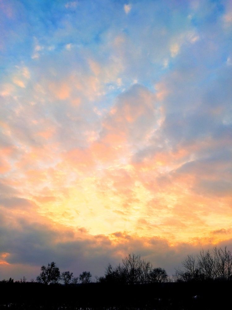 Photograph by Larisa