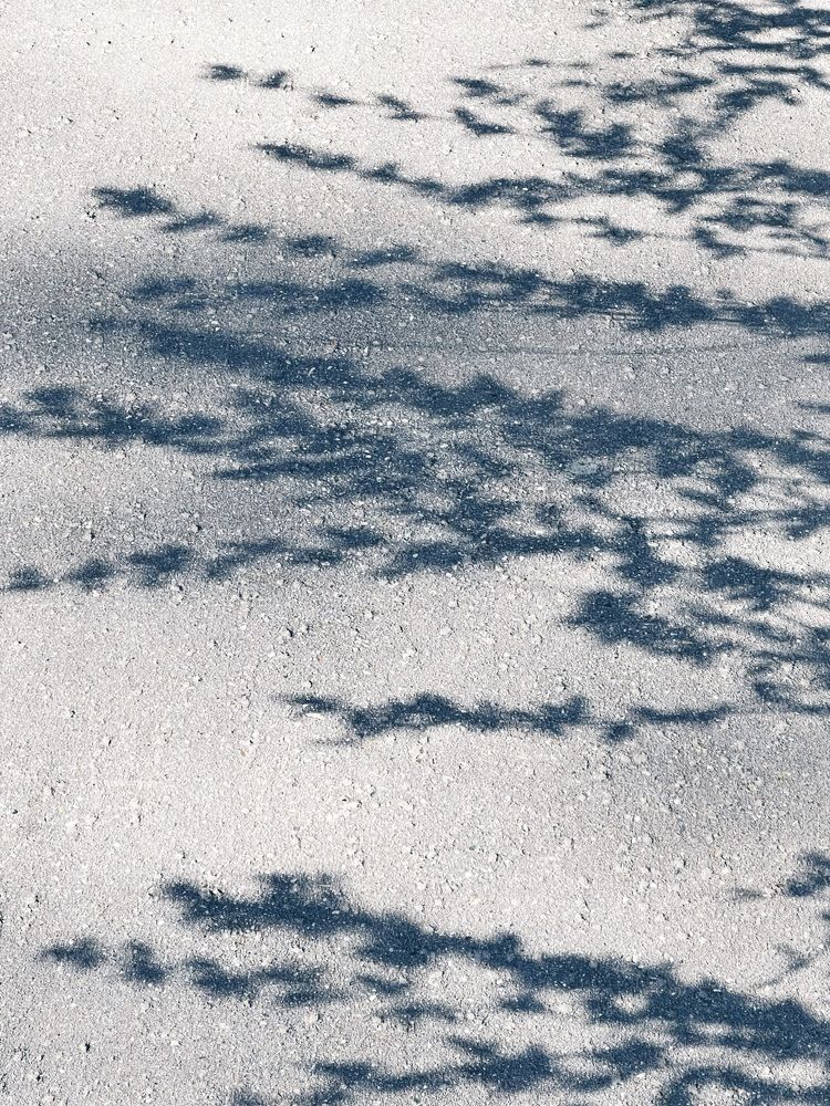 Photograph by Мария Боевая