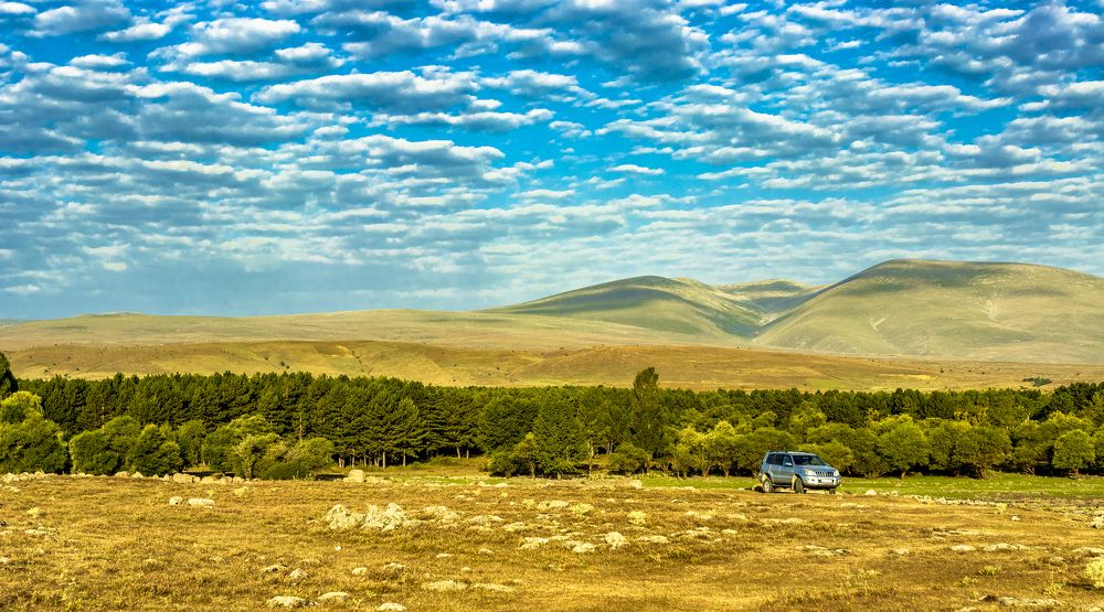 Photograph by Alex Kalpus