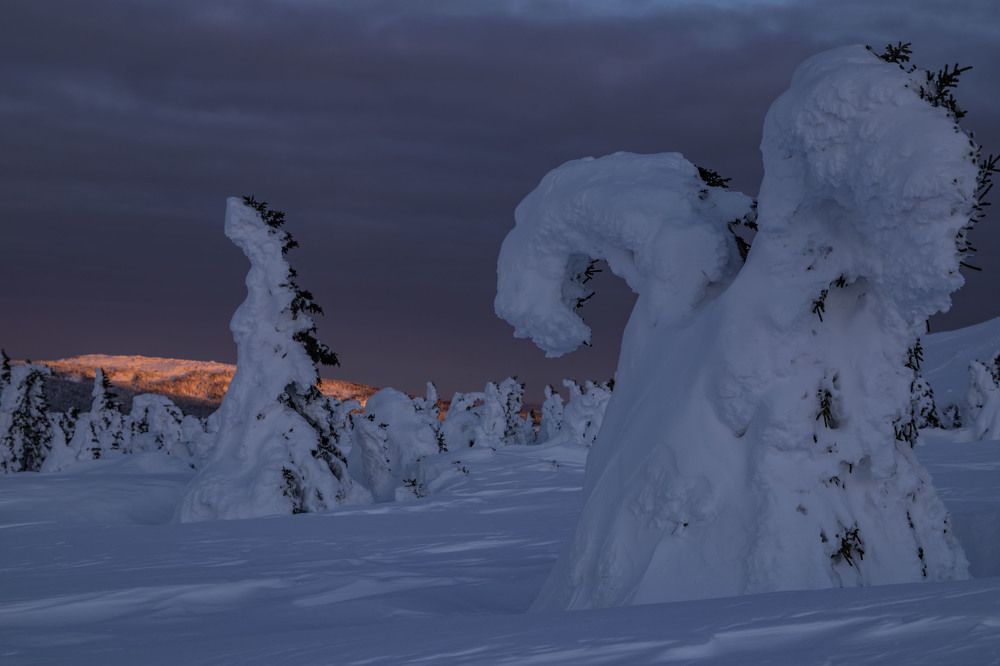 Photograph by Елена Перминова