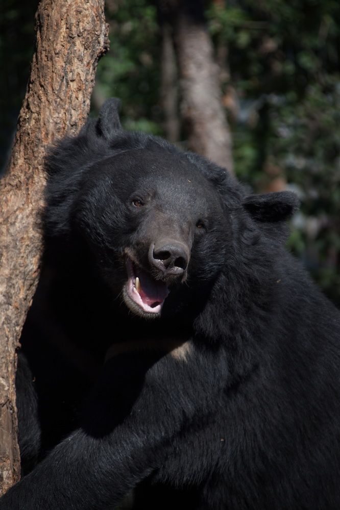 Photograph by Елена Ласун