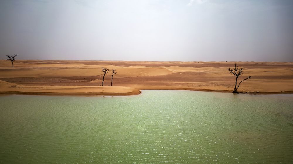 Photograph by salem sultan