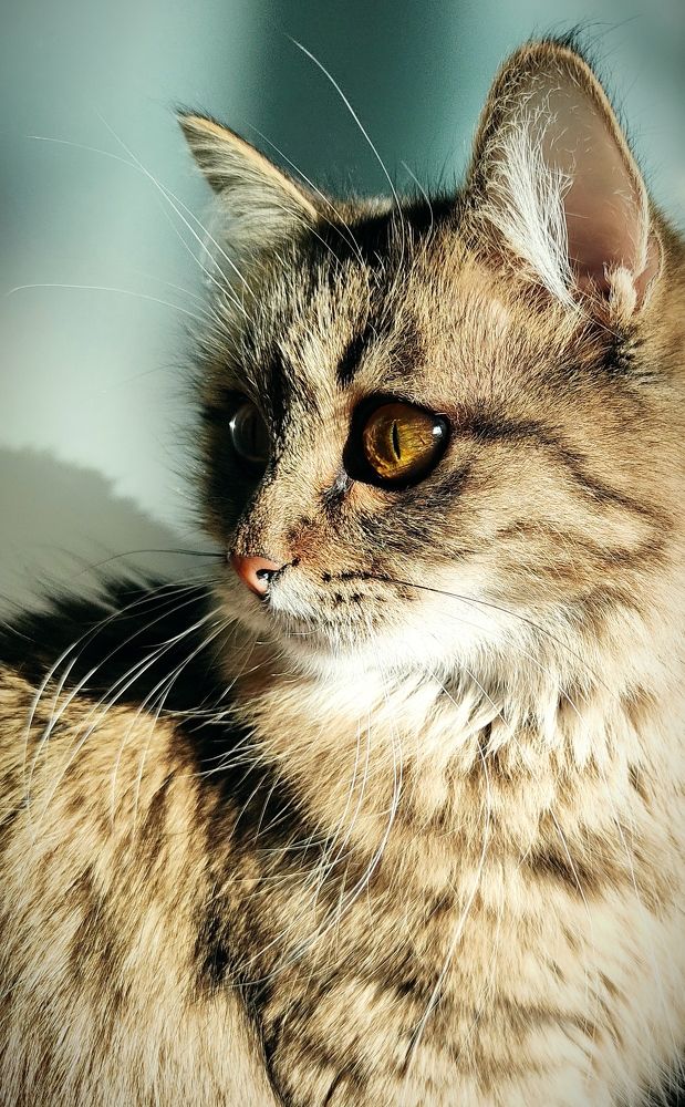 Photograph by Лариса Минбаева