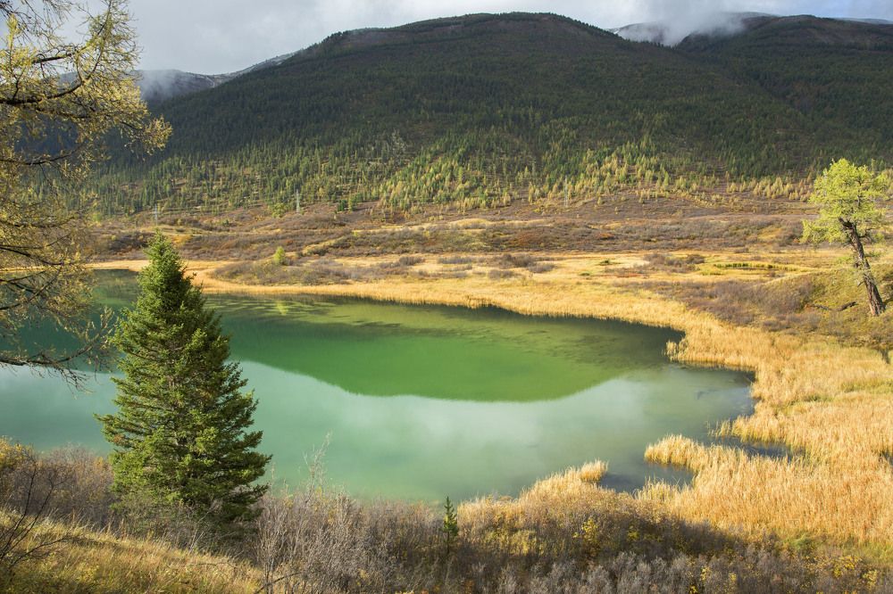 Photograph by KateAkh