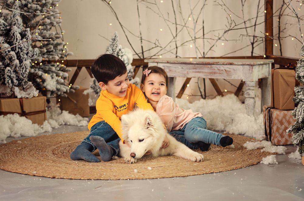 В ожидании Нового года