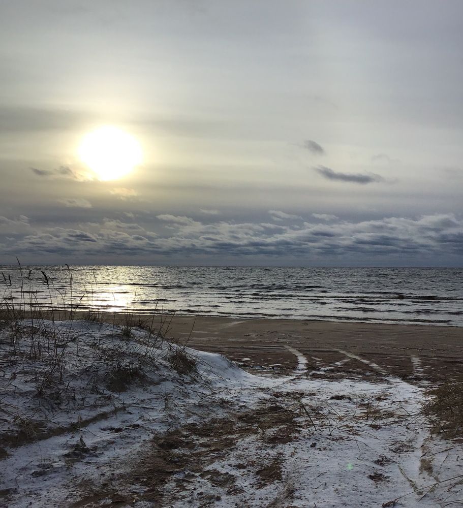 Photo #8449064