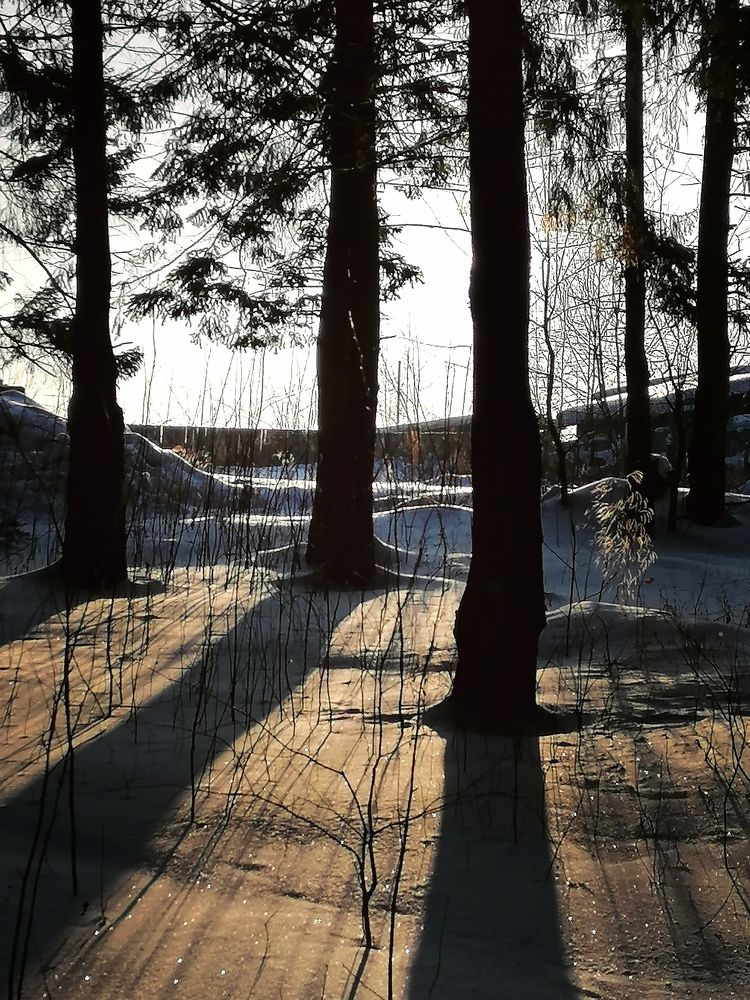 Photograph by Галина Карманова