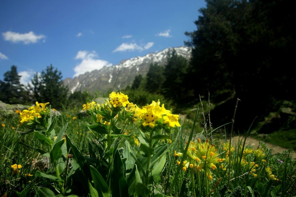 Фотография автора Иван