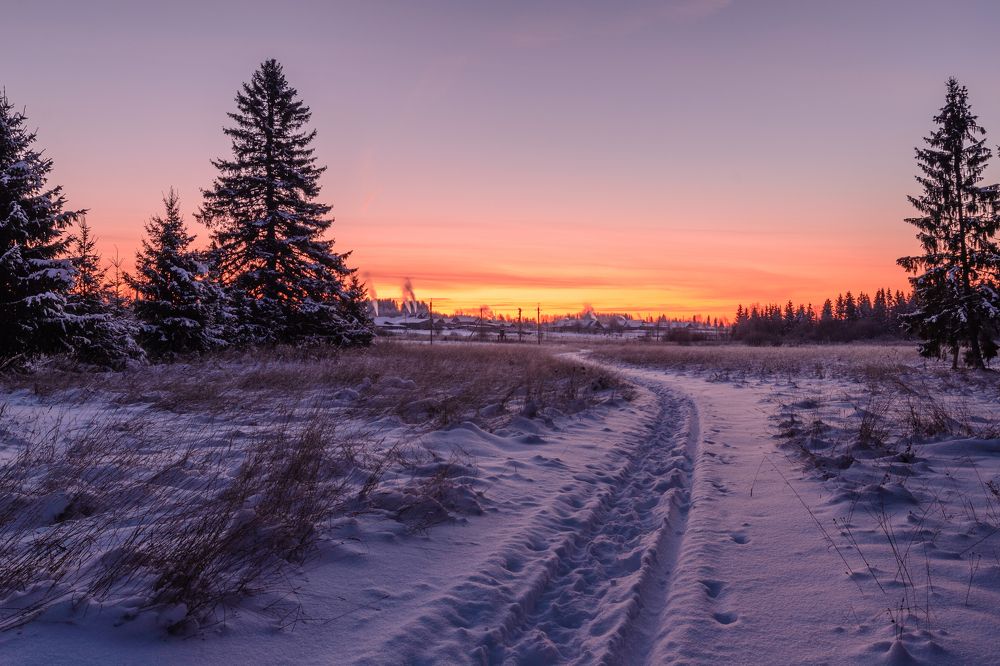 Дорога домой