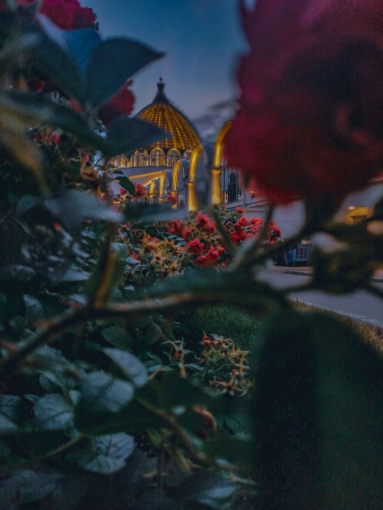 Photograph by Симикова Светлана
