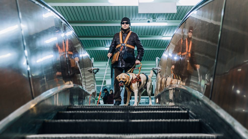 Photograph by Владимир Головченко