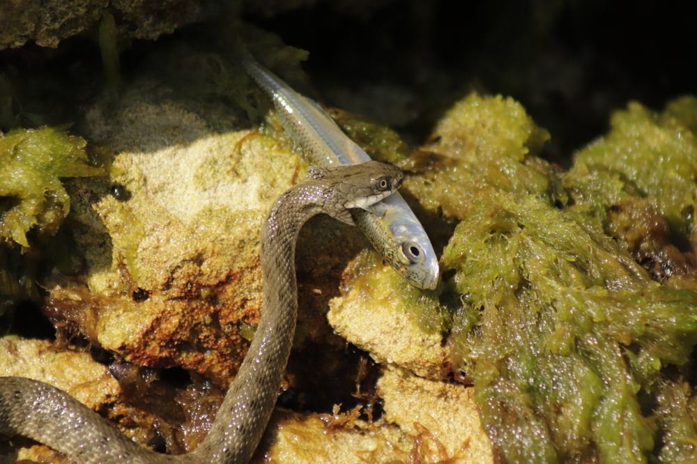 Photograph by Лариса Минбаева