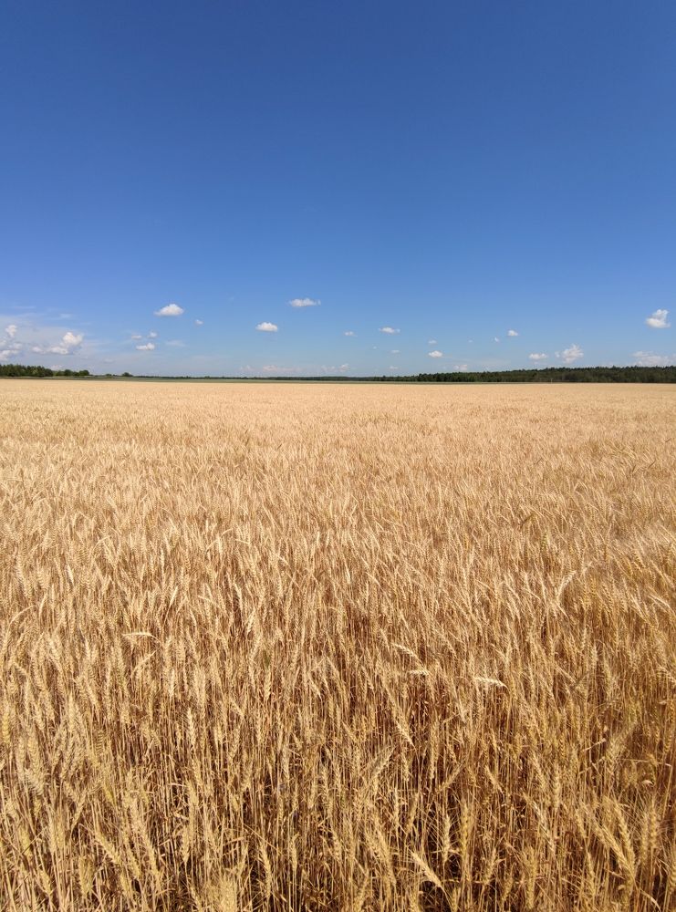 Photograph by Петр Поспелов