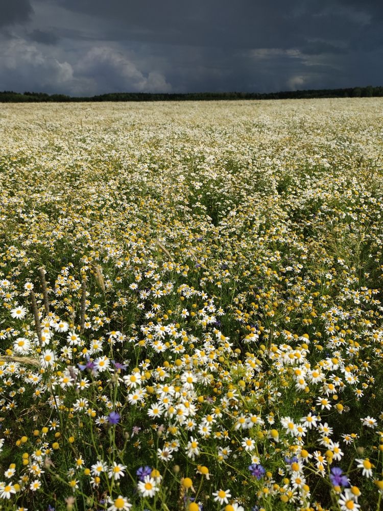 Photograph by Петр Поспелов