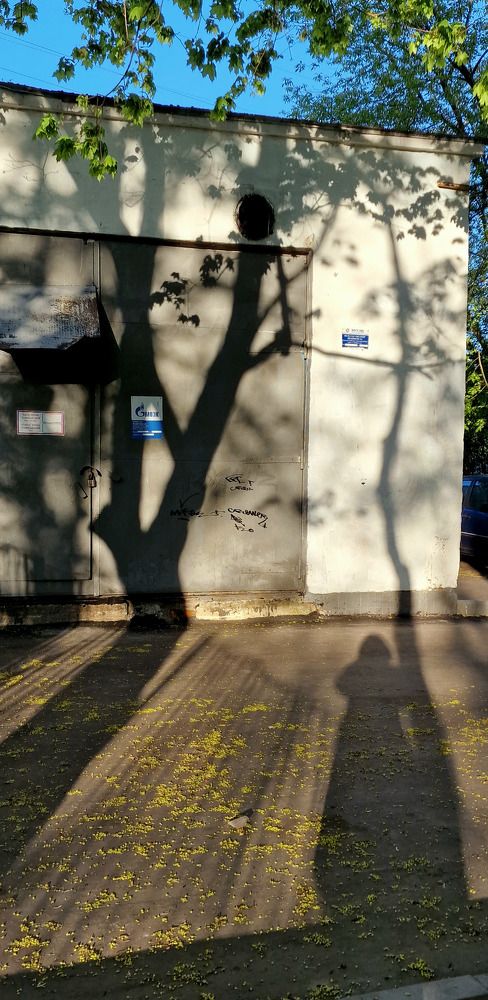 Фотография автора Ольга