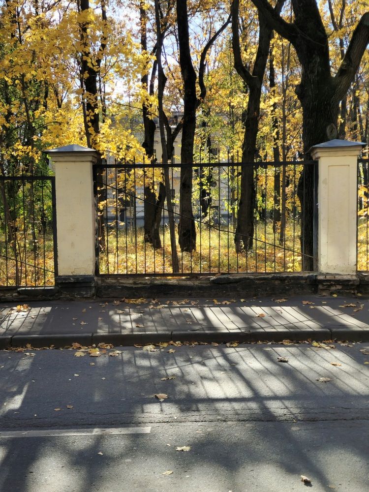 Фотография автора Ольга