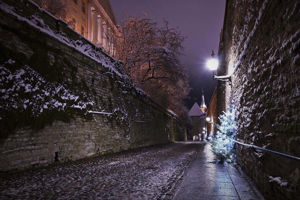 Photograph by IJA REIMAN