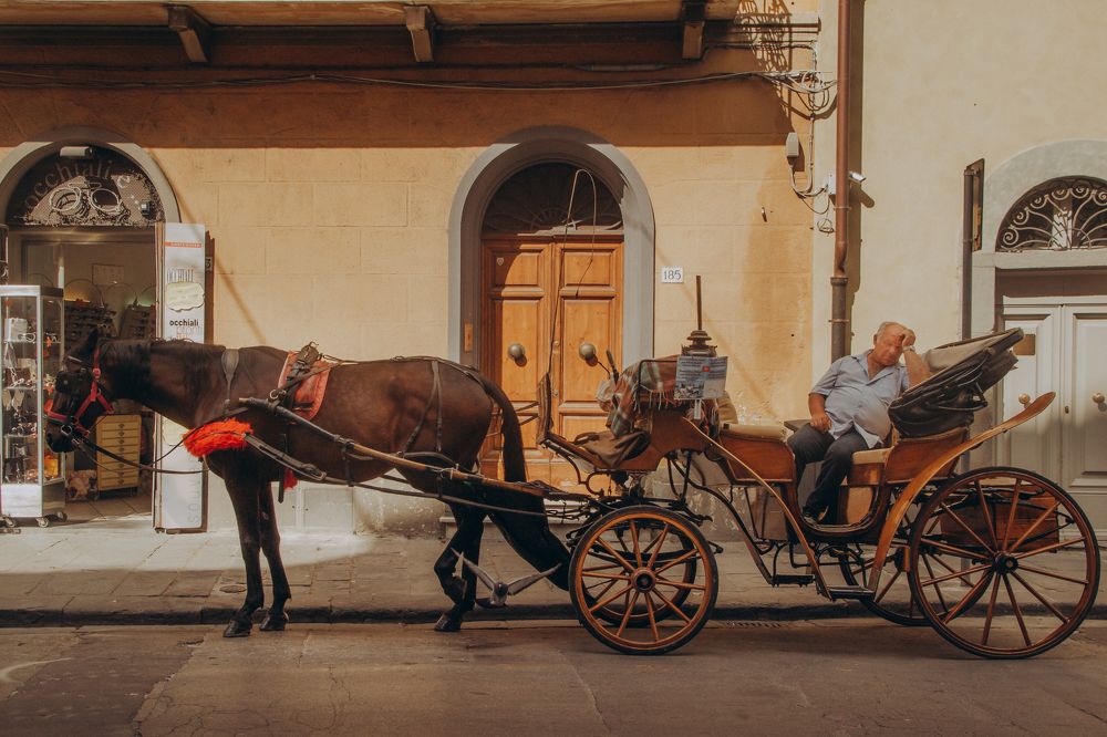 Photograph by Роман Рыбочкин