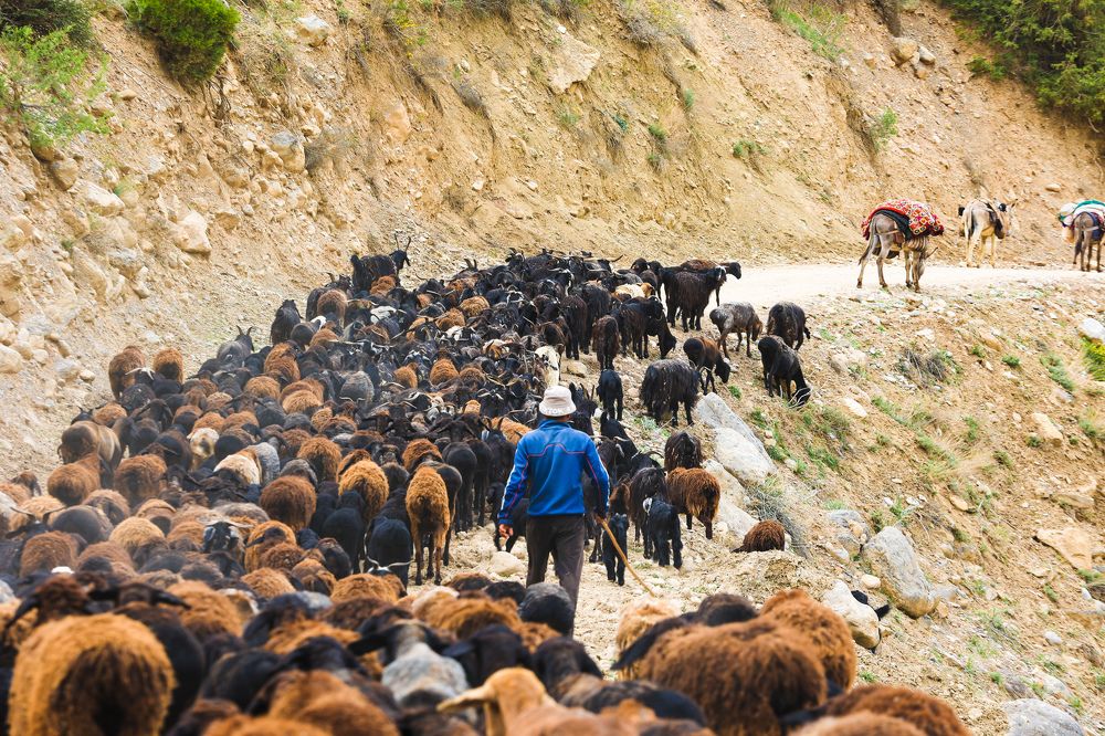 Photograph by Chic.chiquitita