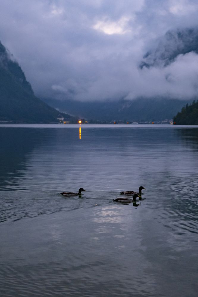 Photograph by Kristine Soghomonyan