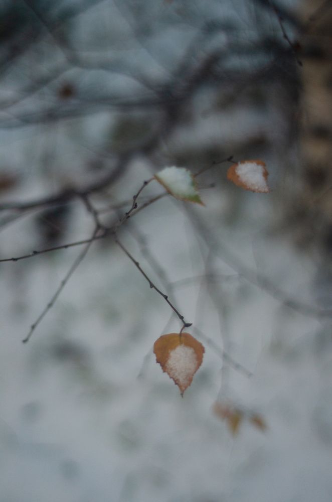Photograph by Сергей Антонов