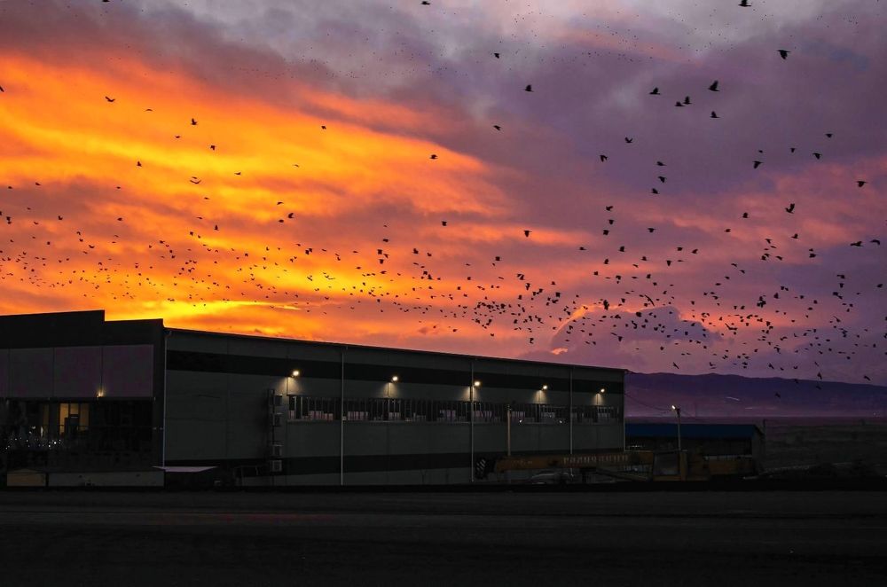 Photograph by Яндиев Адам