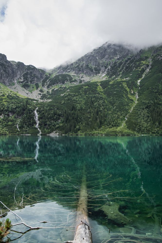 Photograph by Olga Jasińska