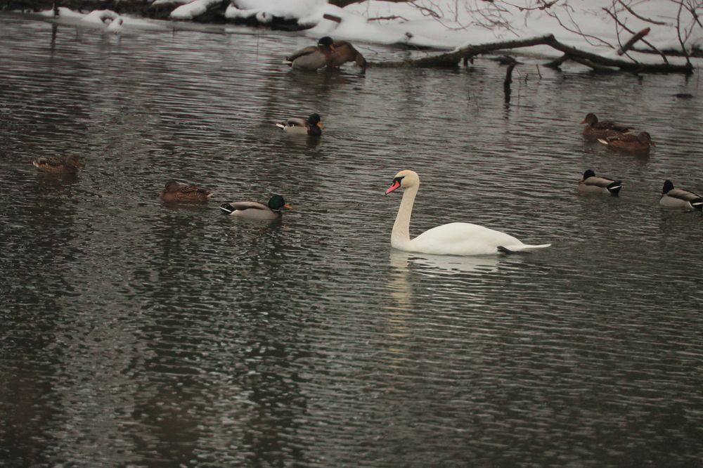 Фотография автора Иван