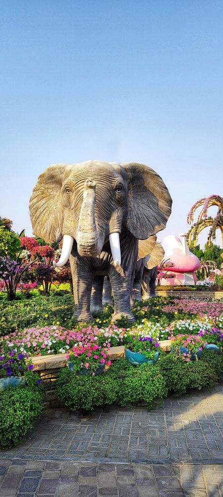 Photograph by Ольга Позняк