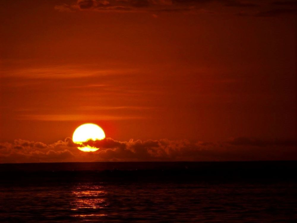 Фотография автора caroline martin (dony)