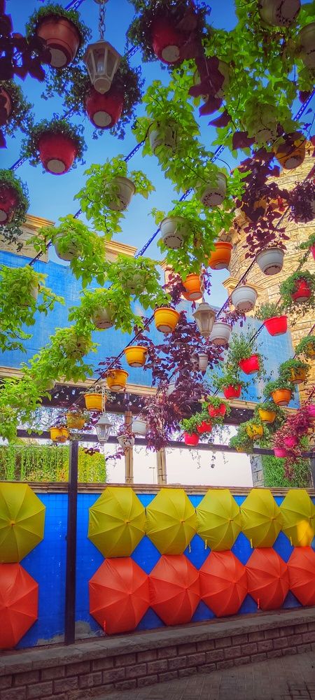 Photograph by Ольга Позняк