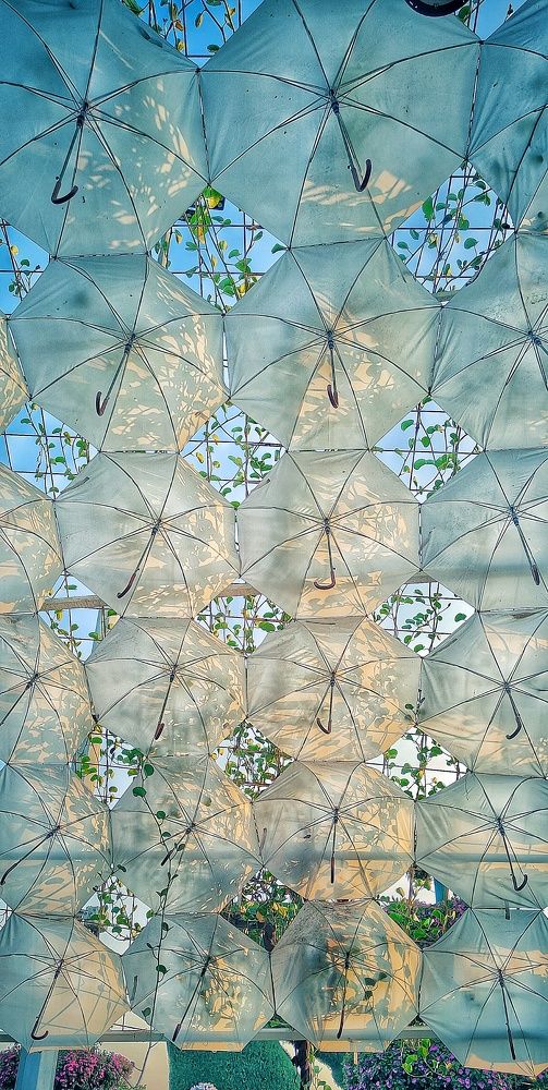 Photograph by Ольга Позняк