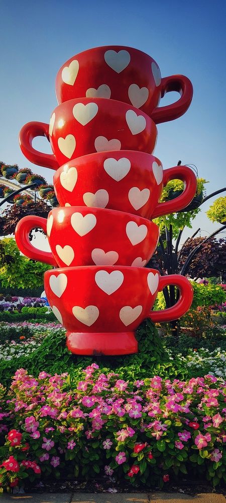 Photograph by Ольга Позняк