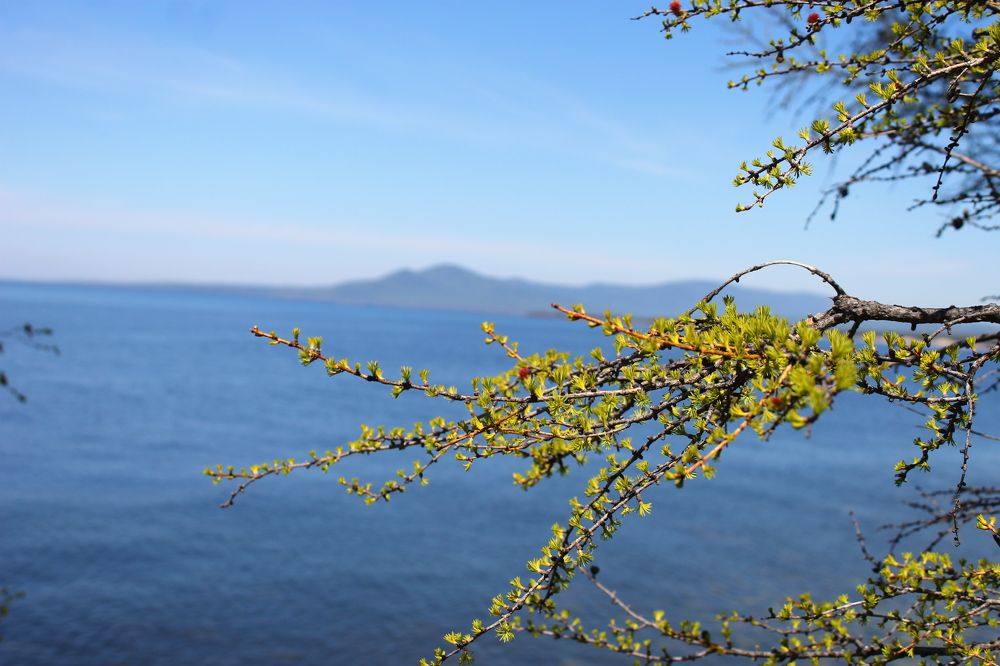 Фотография автора Иван