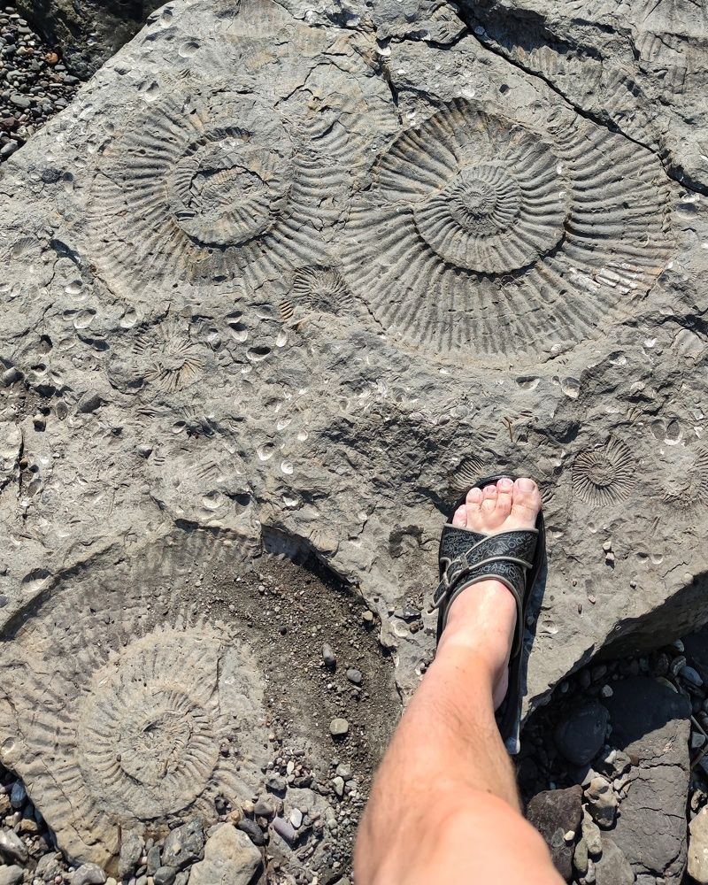 Photograph by Петр Поспелов