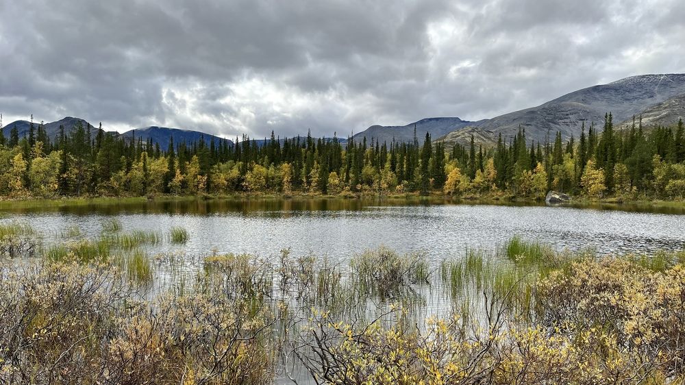 Photograph by Юлия Казимирова