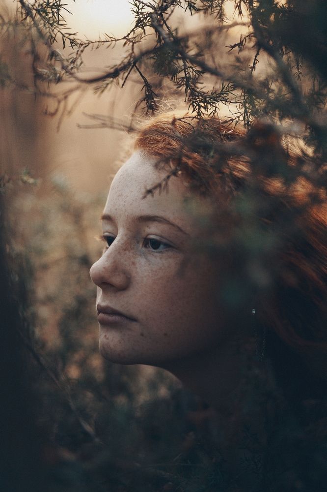 Photograph by 