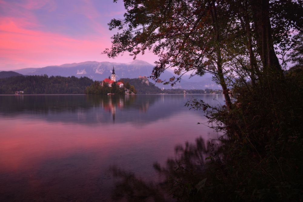 Фотография автора Анатолий Гордиенко
