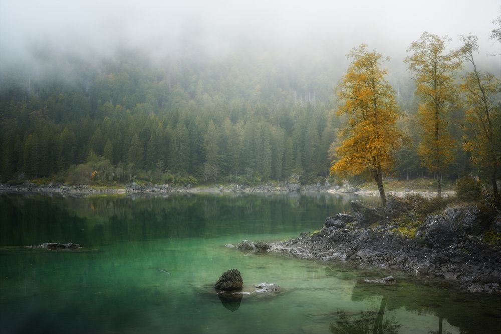 Фотография автора Анатолий Гордиенко