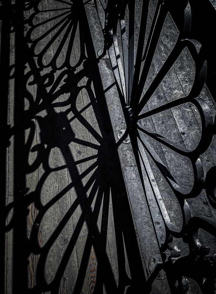 Photograph by Елена Шамраева