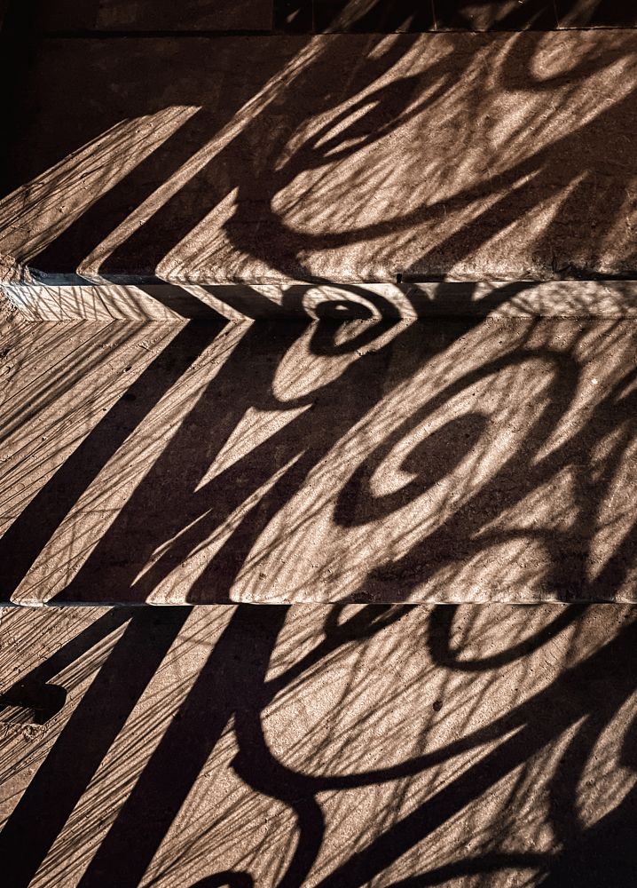 Photograph by Елена Шамраева