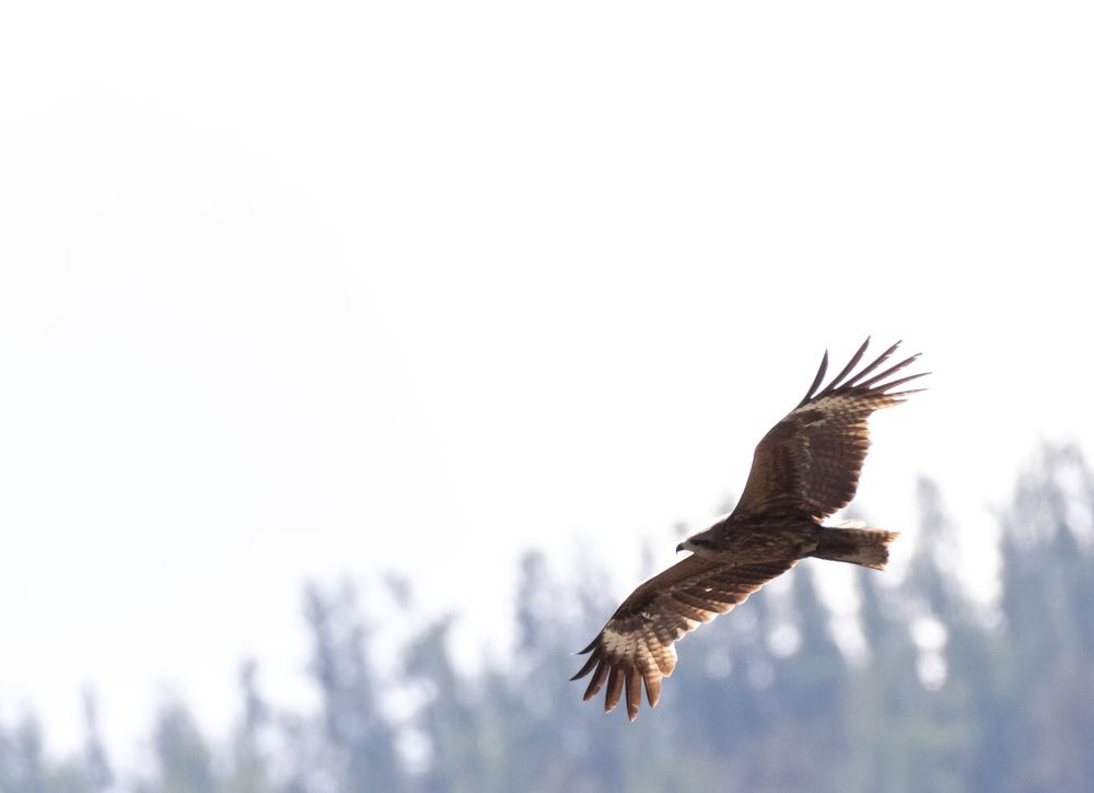 Photograph by Сергей Шерстнев