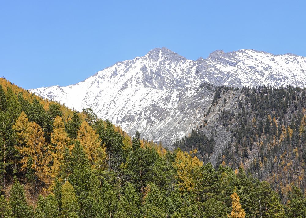 Осенние контрасты Восточного Саяна